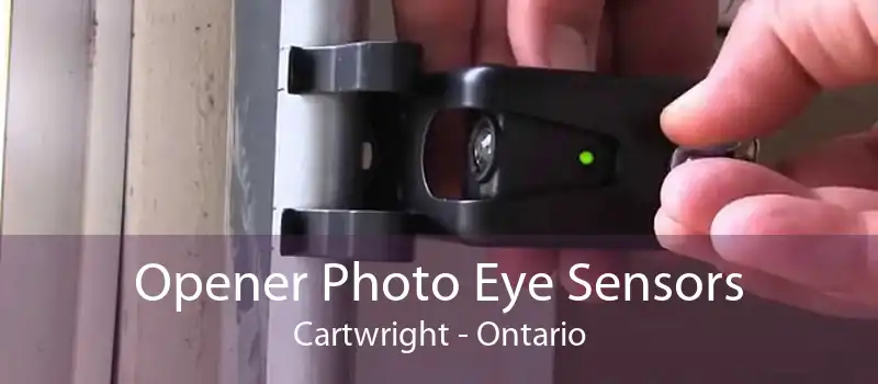 Opener Photo Eye Sensors Cartwright - Ontario