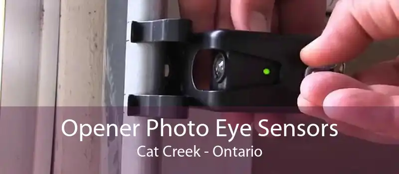 Opener Photo Eye Sensors Cat Creek - Ontario