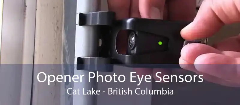Opener Photo Eye Sensors Cat Lake - British Columbia