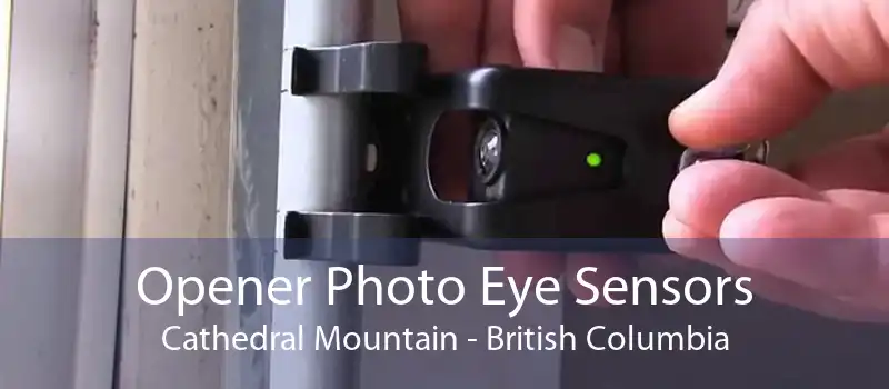 Opener Photo Eye Sensors Cathedral Mountain - British Columbia