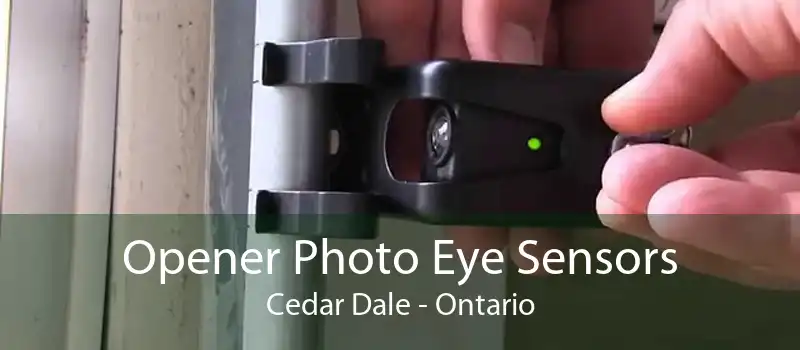 Opener Photo Eye Sensors Cedar Dale - Ontario