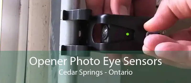 Opener Photo Eye Sensors Cedar Springs - Ontario