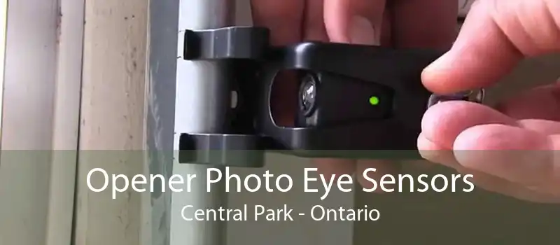 Opener Photo Eye Sensors Central Park - Ontario