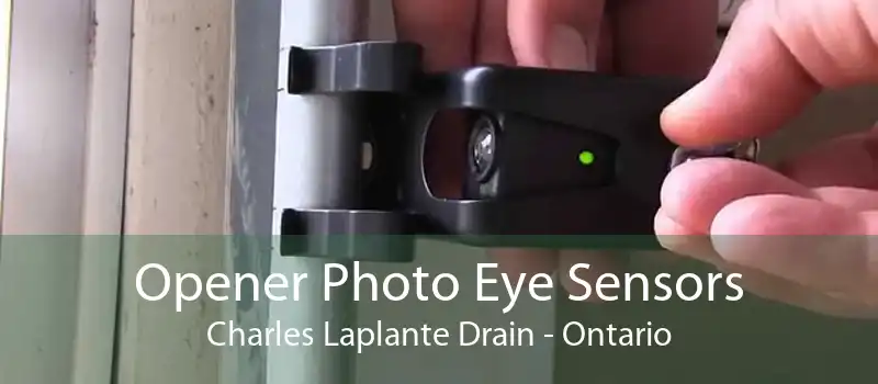 Opener Photo Eye Sensors Charles Laplante Drain - Ontario