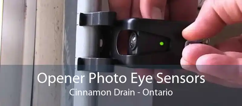 Opener Photo Eye Sensors Cinnamon Drain - Ontario