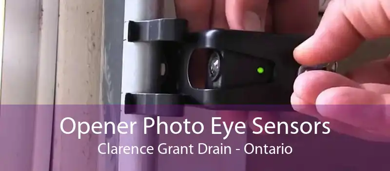 Opener Photo Eye Sensors Clarence Grant Drain - Ontario