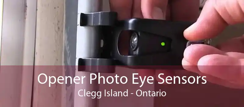 Opener Photo Eye Sensors Clegg Island - Ontario