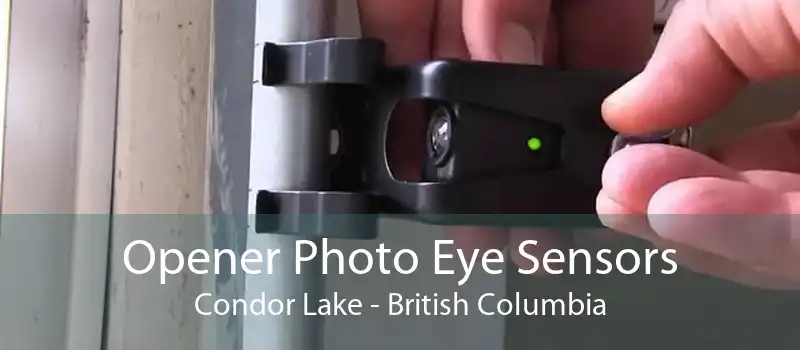 Opener Photo Eye Sensors Condor Lake - British Columbia