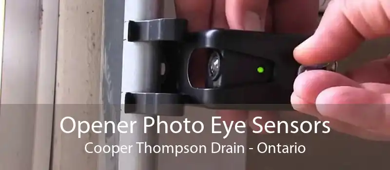 Opener Photo Eye Sensors Cooper Thompson Drain - Ontario