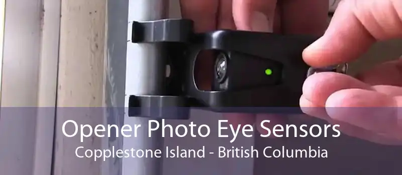Opener Photo Eye Sensors Copplestone Island - British Columbia