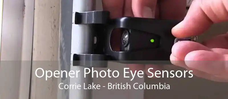 Opener Photo Eye Sensors Corrie Lake - British Columbia