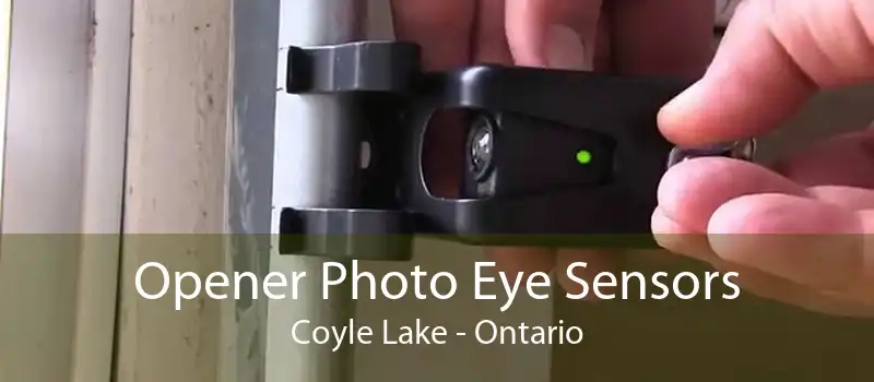 Opener Photo Eye Sensors Coyle Lake - Ontario