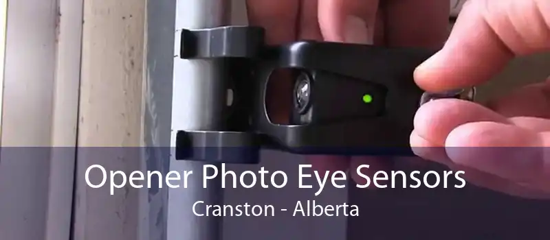 Opener Photo Eye Sensors Cranston - Alberta