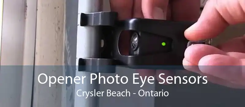 Opener Photo Eye Sensors Crysler Beach - Ontario
