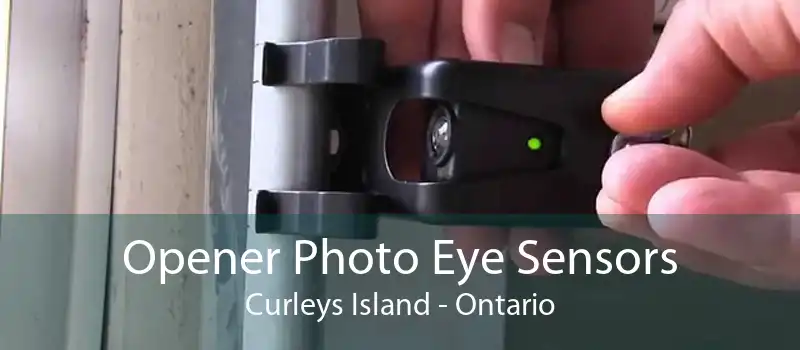 Opener Photo Eye Sensors Curleys Island - Ontario
