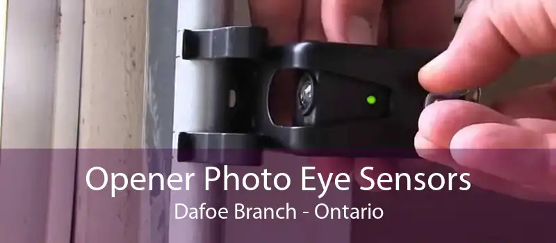 Opener Photo Eye Sensors Dafoe Branch - Ontario