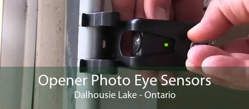 Opener Photo Eye Sensors Dalhousie Lake - Ontario