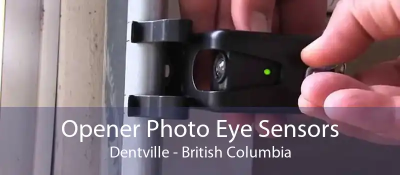 Opener Photo Eye Sensors Dentville - British Columbia