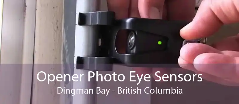 Opener Photo Eye Sensors Dingman Bay - British Columbia