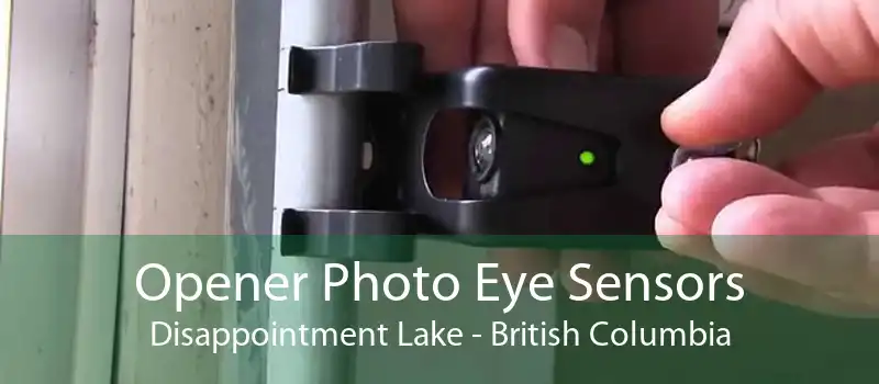 Opener Photo Eye Sensors Disappointment Lake - British Columbia