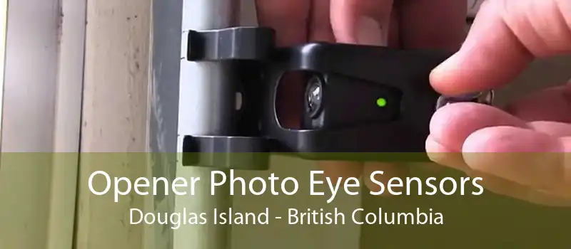 Opener Photo Eye Sensors Douglas Island - British Columbia