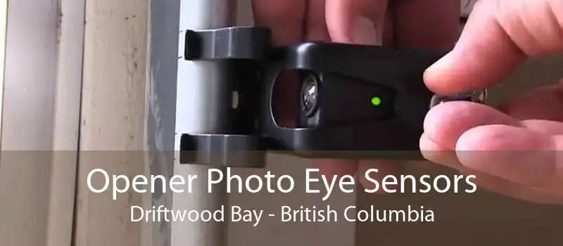 Opener Photo Eye Sensors Driftwood Bay - British Columbia