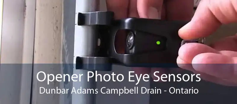 Opener Photo Eye Sensors Dunbar Adams Campbell Drain - Ontario