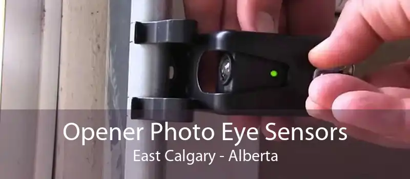 Opener Photo Eye Sensors East Calgary - Alberta