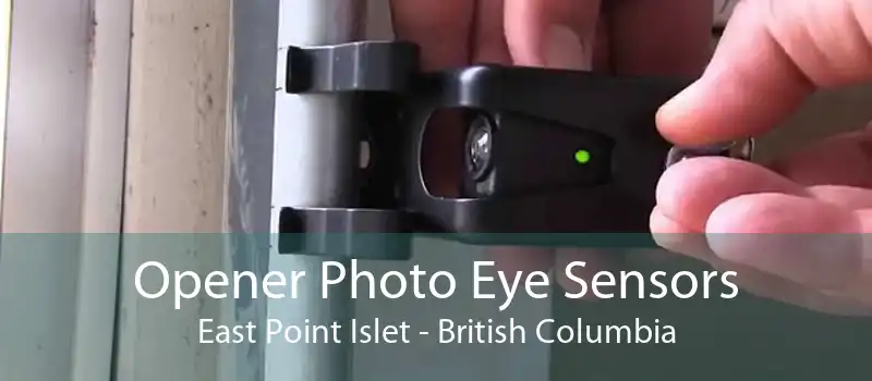 Opener Photo Eye Sensors East Point Islet - British Columbia
