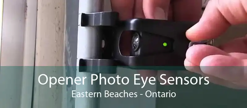 Opener Photo Eye Sensors Eastern Beaches - Ontario