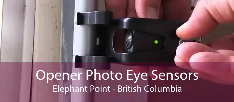 Opener Photo Eye Sensors Elephant Point - British Columbia