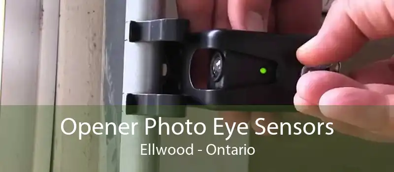 Opener Photo Eye Sensors Ellwood - Ontario