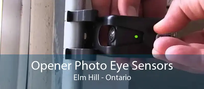Opener Photo Eye Sensors Elm Hill - Ontario