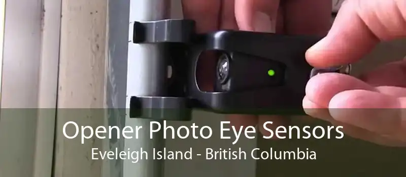 Opener Photo Eye Sensors Eveleigh Island - British Columbia