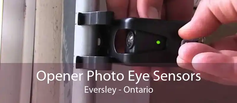 Opener Photo Eye Sensors Eversley - Ontario