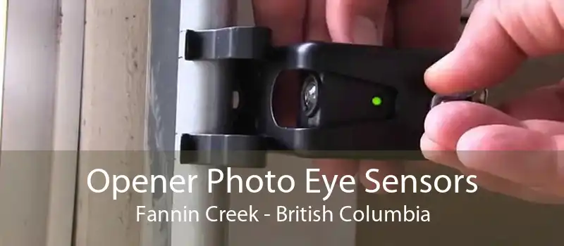 Opener Photo Eye Sensors Fannin Creek - British Columbia