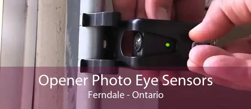 Opener Photo Eye Sensors Ferndale - Ontario