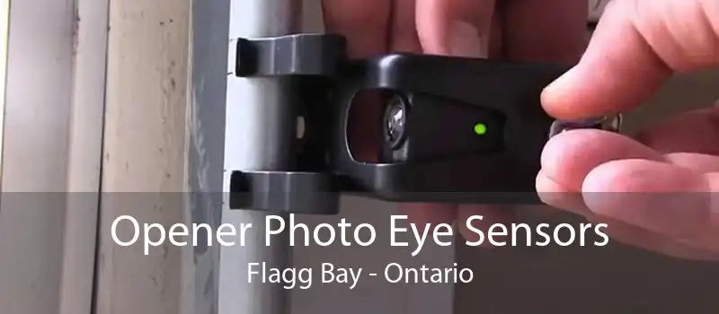 Opener Photo Eye Sensors Flagg Bay - Ontario
