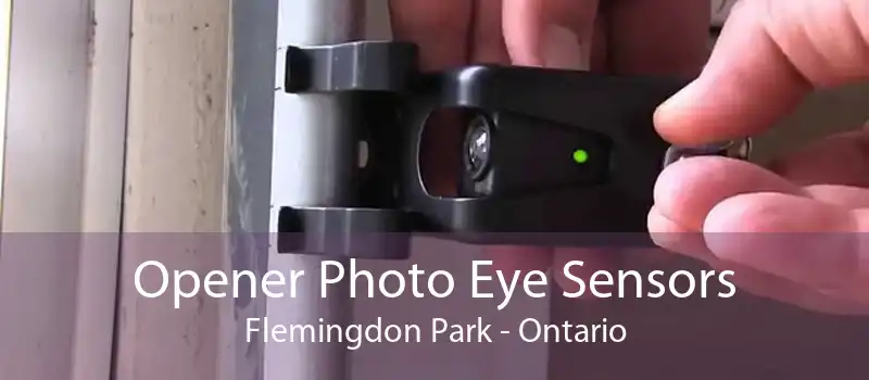 Opener Photo Eye Sensors Flemingdon Park - Ontario
