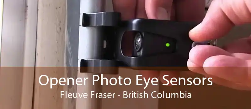 Opener Photo Eye Sensors Fleuve Fraser - British Columbia