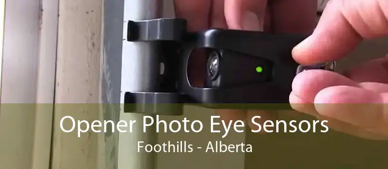 Opener Photo Eye Sensors Foothills - Alberta