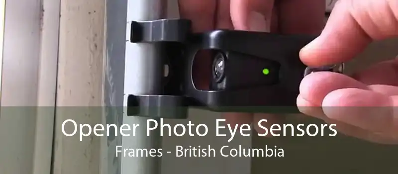 Opener Photo Eye Sensors Frames - British Columbia