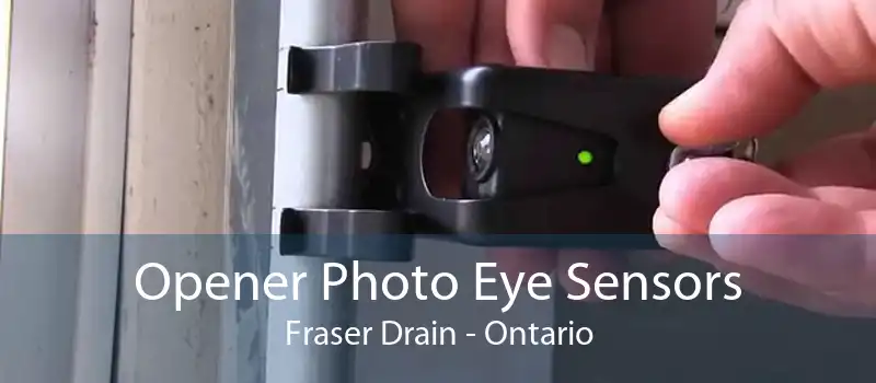 Opener Photo Eye Sensors Fraser Drain - Ontario