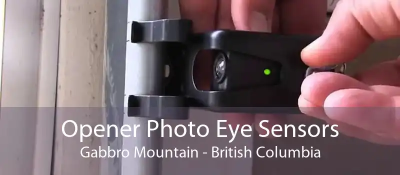Opener Photo Eye Sensors Gabbro Mountain - British Columbia