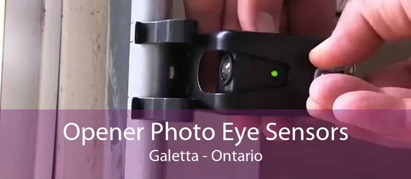 Opener Photo Eye Sensors Galetta - Ontario