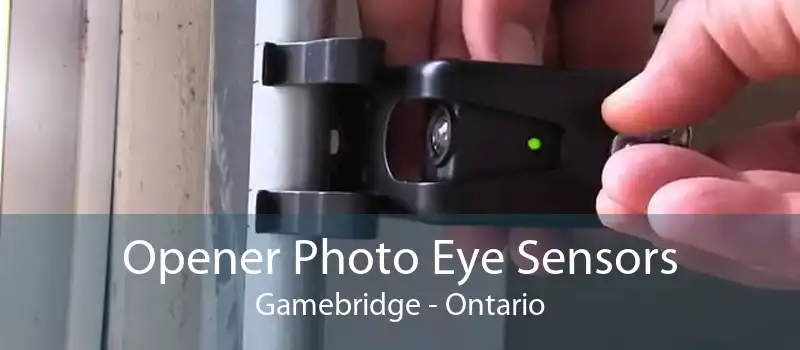 Opener Photo Eye Sensors Gamebridge - Ontario