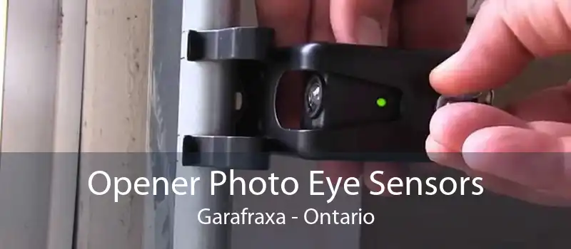 Opener Photo Eye Sensors Garafraxa - Ontario