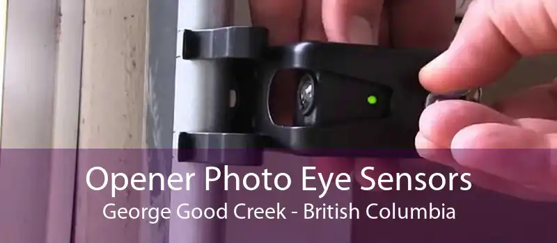 Opener Photo Eye Sensors George Good Creek - British Columbia