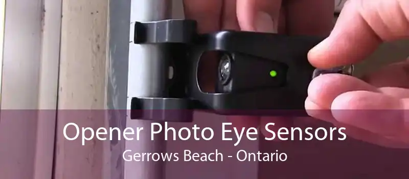 Opener Photo Eye Sensors Gerrows Beach - Ontario