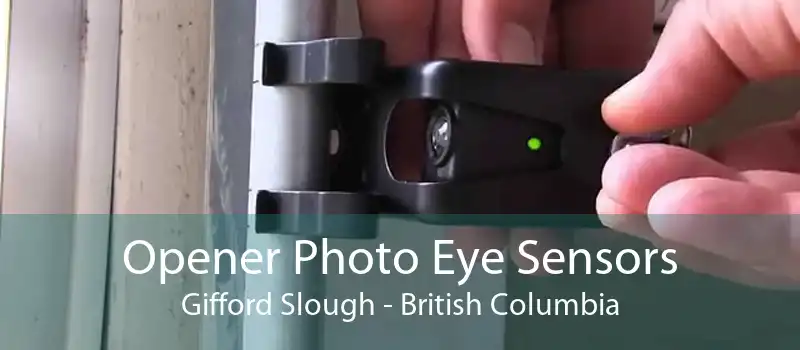 Opener Photo Eye Sensors Gifford Slough - British Columbia